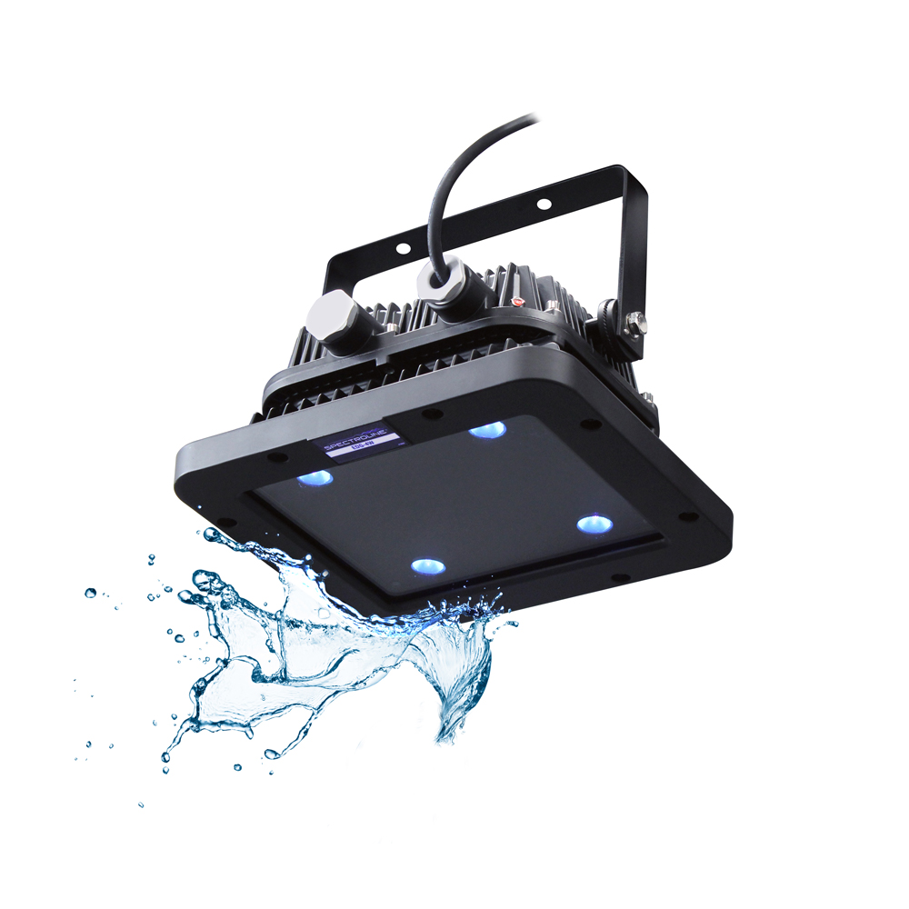 EDGE 4W IP65 FLOOD LAMP LED UV-A FOR WASH STATION